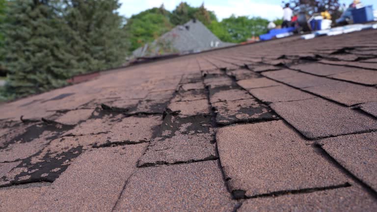 Waterproofing in Palos Hills, IL