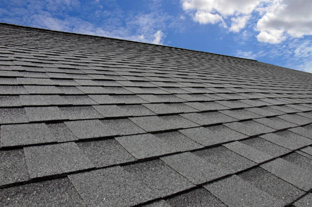 Best Solar Panel Roofing Installation  in Palos Hls, IL